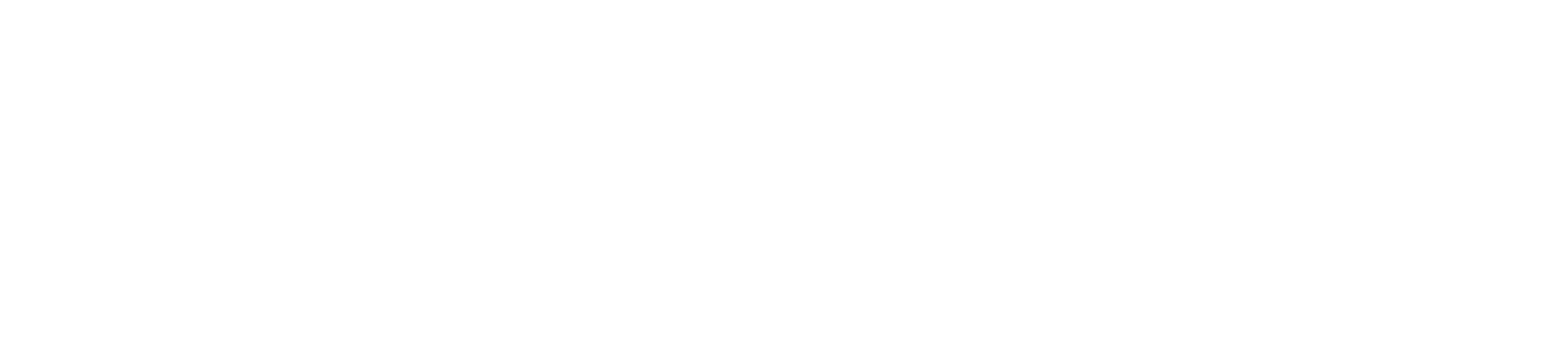 TRAINER